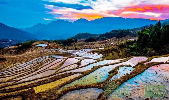 人民日?qǐng)?bào)：靠山吃山，做足綠色大文章